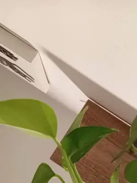 Watch Live Sex Cams with Agelessheat - Cam4