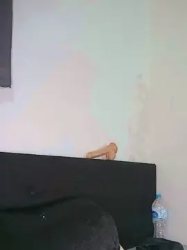 Live Sex Cam with Gabbitrans - Cam4
