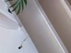 Sex Cam with Thiebaud - Cam4