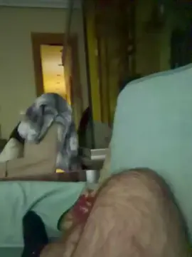 Best live sex cam show with Licanp - Cam4