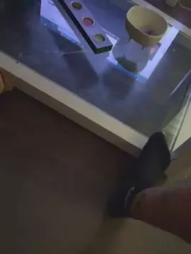 Live Porn with SANDALIO82 - Cam4