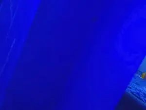 Adult Webcam with Lexter_Blue - Cam4