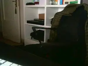 Sex Cam with vinkstick - Cam4