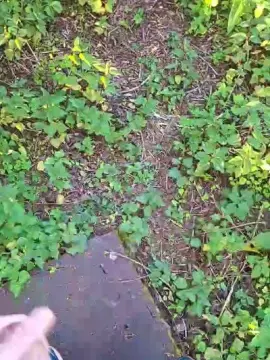 Free Porn Cam with hotbody18y - Cam4