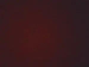 Best Webcam with skeetstreet - Cam4