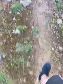 Adult Video Chat with Tiago1990FCM - Cam4