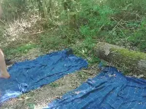 Free Live Porn with reivaxf - Cam4