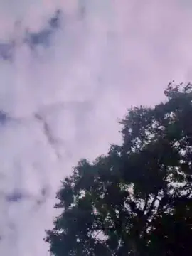 Live Sex Cam with asiacameronxxx - Cam4