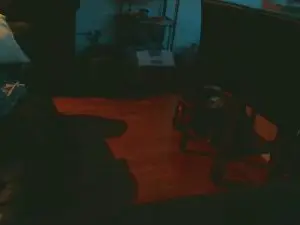 Free Porn Cam with latinzinu - Cam4