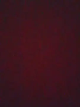Nude Webcam with Luchociampo - Cam4