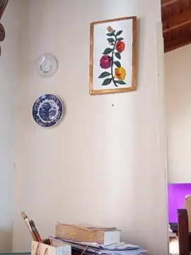 Live Porn with Taniafemme - Cam4