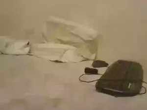 Private Sex Chat with lincon7_sexy - Cam4