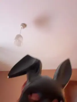 Sex Cam with bbabyaliss - Cam4