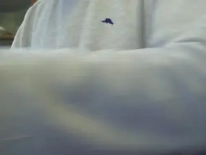 Free Live Porn with jackstone124 - Cam4