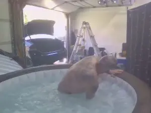 Adult Webcams with MaXimumSasXha - Cam4