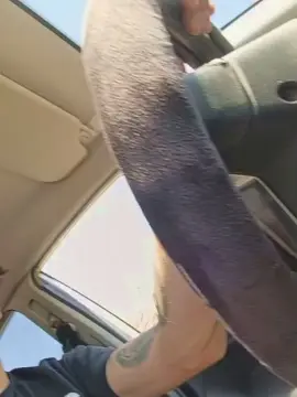 Watch Live Sex Cams with SuckmyCock98 - Cam4