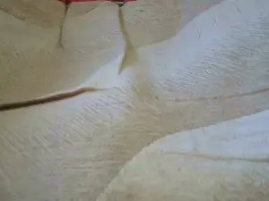 Adult Webcam with 269geilelust - Cam4