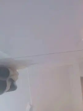 Sex Cam with Calosx_h83 - Cam4