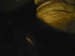Live Porn with 5065 - Cam4