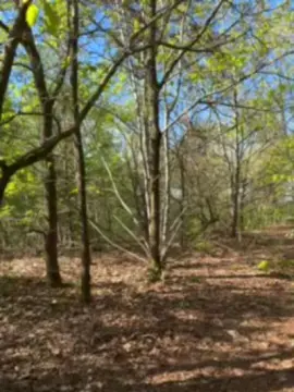 Watch Live Sex Cams with bjornborg - Cam4