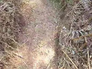 Adult Video Chat with Cuni40 - Cam4