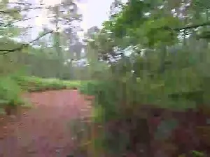 Adult Webcam with Cuni40 - Cam4