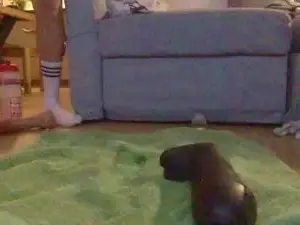 Free Live Porn with 2GarsHotPIg - Cam4