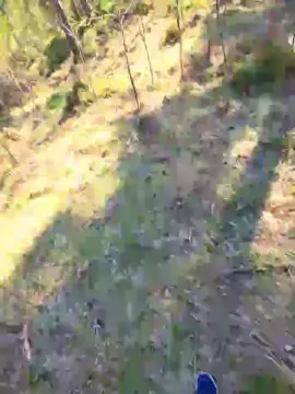 Live Sex with likescock5 - Cam4