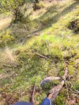 Adult Webcam with likescock5 - Cam4