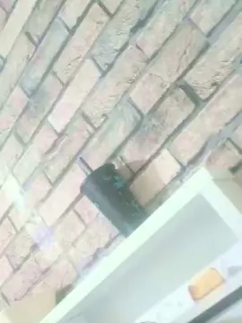 Adult Video Chat with edineivieira318 - Cam4