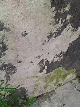 Free Porn Cam with Tania__honey - Cam4