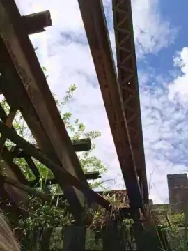 Free Porn Cam with Tania__honey - Cam4