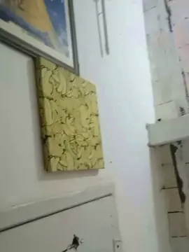 Free Porn Cam with novdotado22 - Cam4