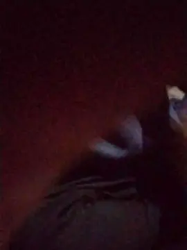 Free Live Porn with vickygon22_P - Cam4