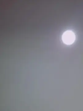 Free Porn Cam with Agat4 - Cam4