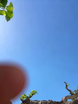 Adult Webcam with SocraM_Hot - Cam4