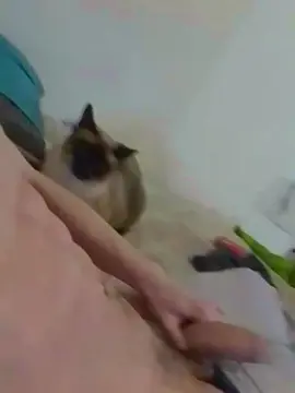 Live Porn with RyanTwinkhot - Cam4