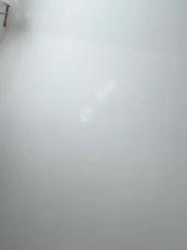 Sex Cam with Michback - Cam4