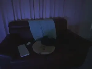 Free Live Porn with Nikita_petrov - Cam4