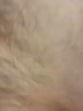 Nude Webcam with Albertdoe - Cam4