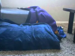 Adult Webcam with leaveitinsideme - Cam4