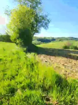 Adult Webcam with Legtiste - Cam4