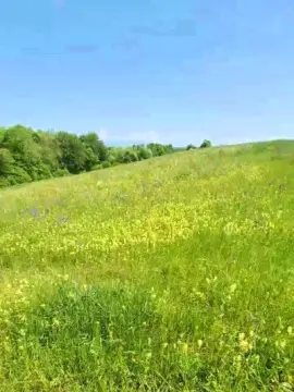 Private Sex Chat with Legtiste - Cam4