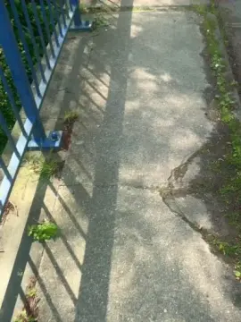 Adult Video Chat with liegeois - Cam4