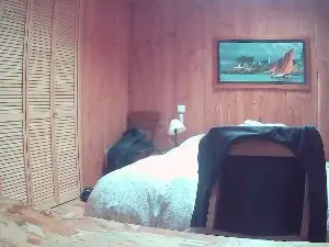 Adult Video Chat with SpeedSail - Cam4