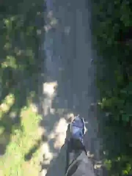 Adult Video Chat with Hairlessoldman - Cam4