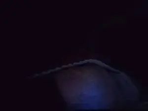 Best Webcam with Bebesito2026 - Cam4
