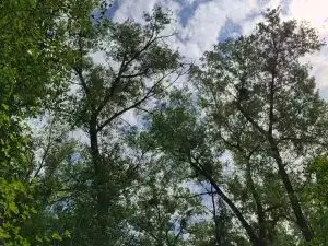 Sex Cam with 1europe - Cam4