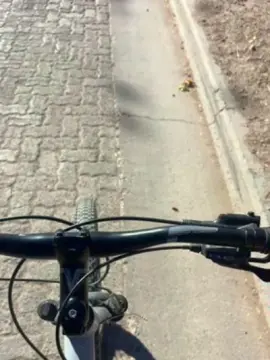 Adult Video Chat with Laoquedad - Cam4