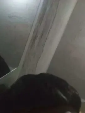 Adult Video Chat with Novinhogtz18y - Cam4